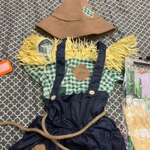 Wizard of Oz Ladies ScareCrow costume